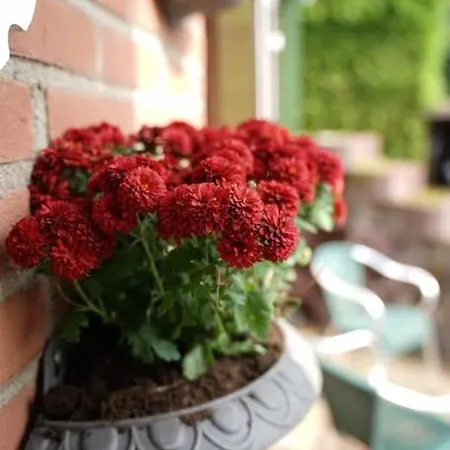 Marie Apartamento Loosdrecht