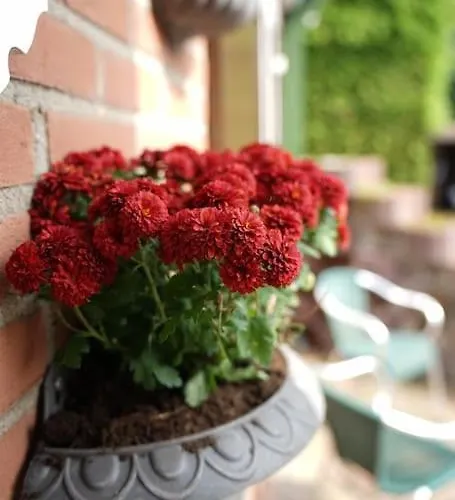 Marie 아파트 루즈으레트